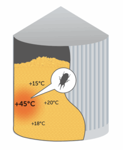 A source of grain infestation by insects at a particular location, characterized by elevated grain temperature at that point