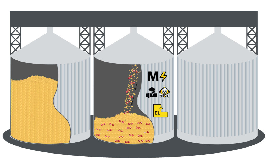 Fumigation of grain by the traditional method of transferring grain from a metal silo to a silo
