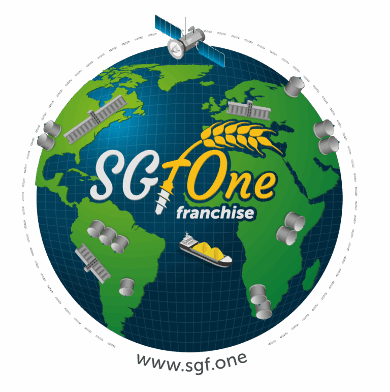 Modern fumigation of grain in silos