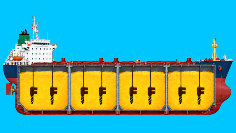Fumigation of grain in marine bulk carriers without moving the cargo.
